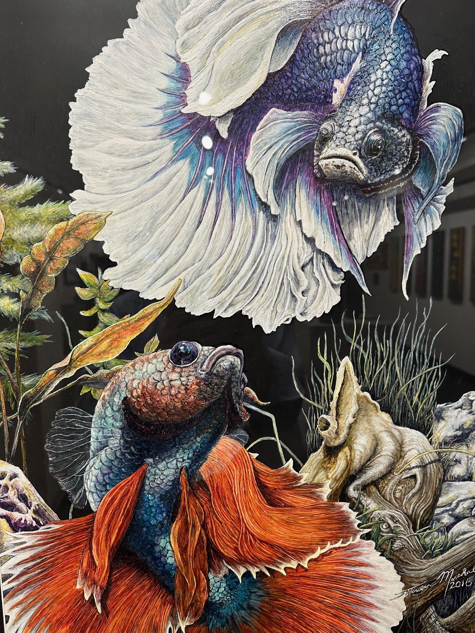 "The Beauty Below" by Steven Marshall