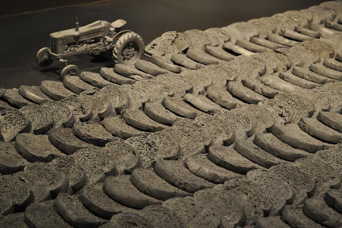 The Land in Which We Live