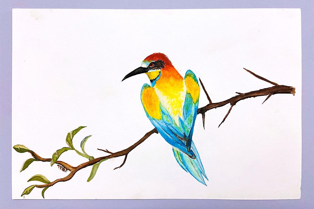 Drawing by Tyler Rich, age 11