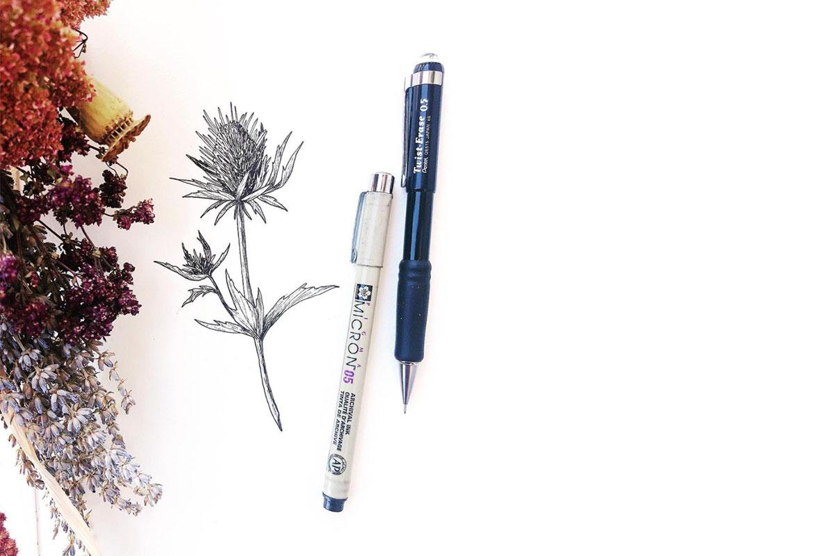 Thistle by Savannah Ashmore