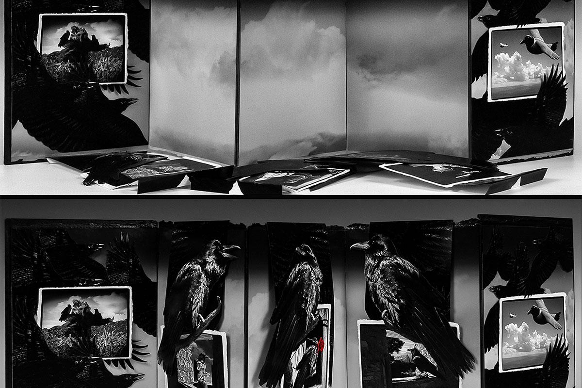 Book of Ravens detail by Tom Calenberg