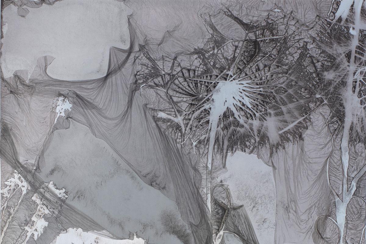 Black and white photography by Forrest Zerbe