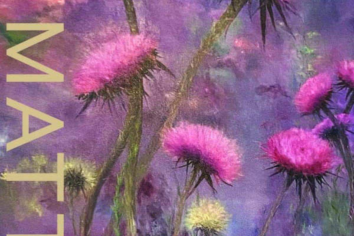 Holiday 2025 Art Matters